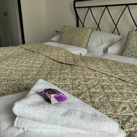 Guest house U Draka Karlovy Vary